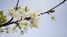 Как отдыхаем этой весной?